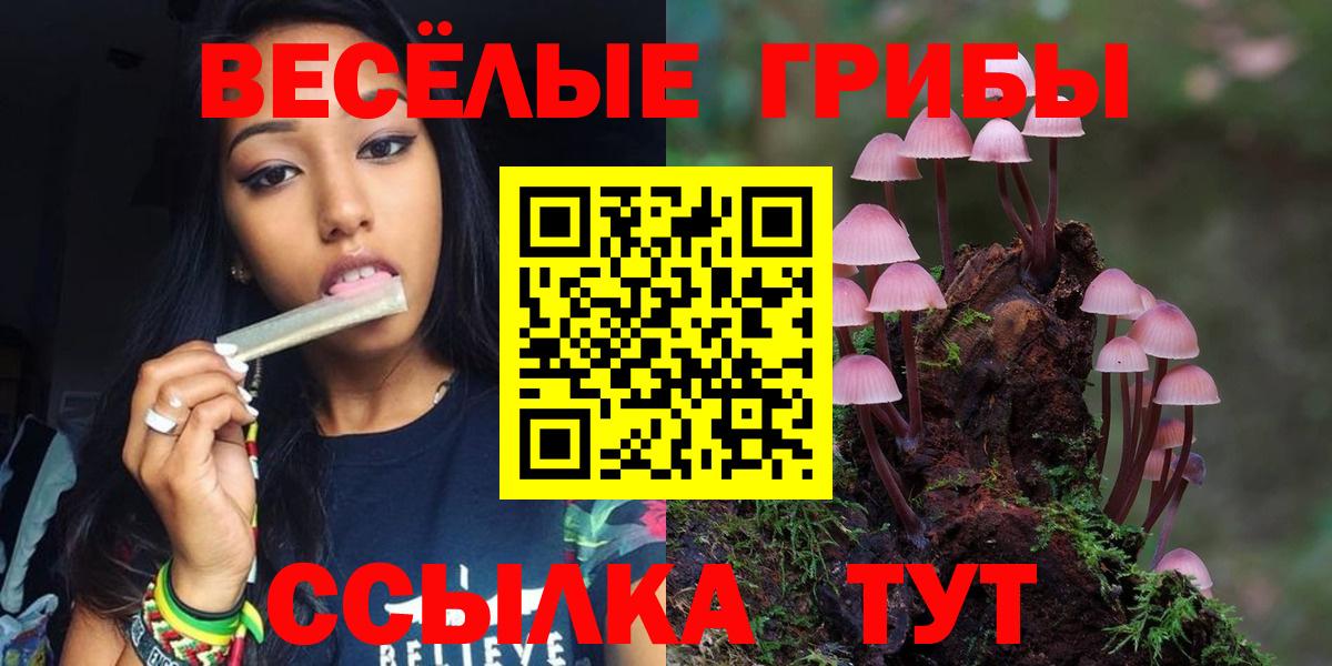 Псилоцибиновые грибы мухоморы  купить наркоту  Алейск  Галлюциногенные грибы мицелий  Вход с VPN 