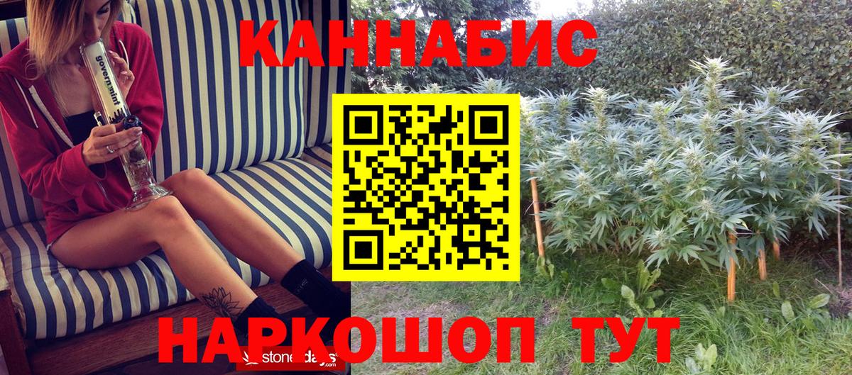 Марихуана сатива  Шишки марихуана Bruce Banner  Алейск  Вход с VPN  МАРИХУАНА AK-47 